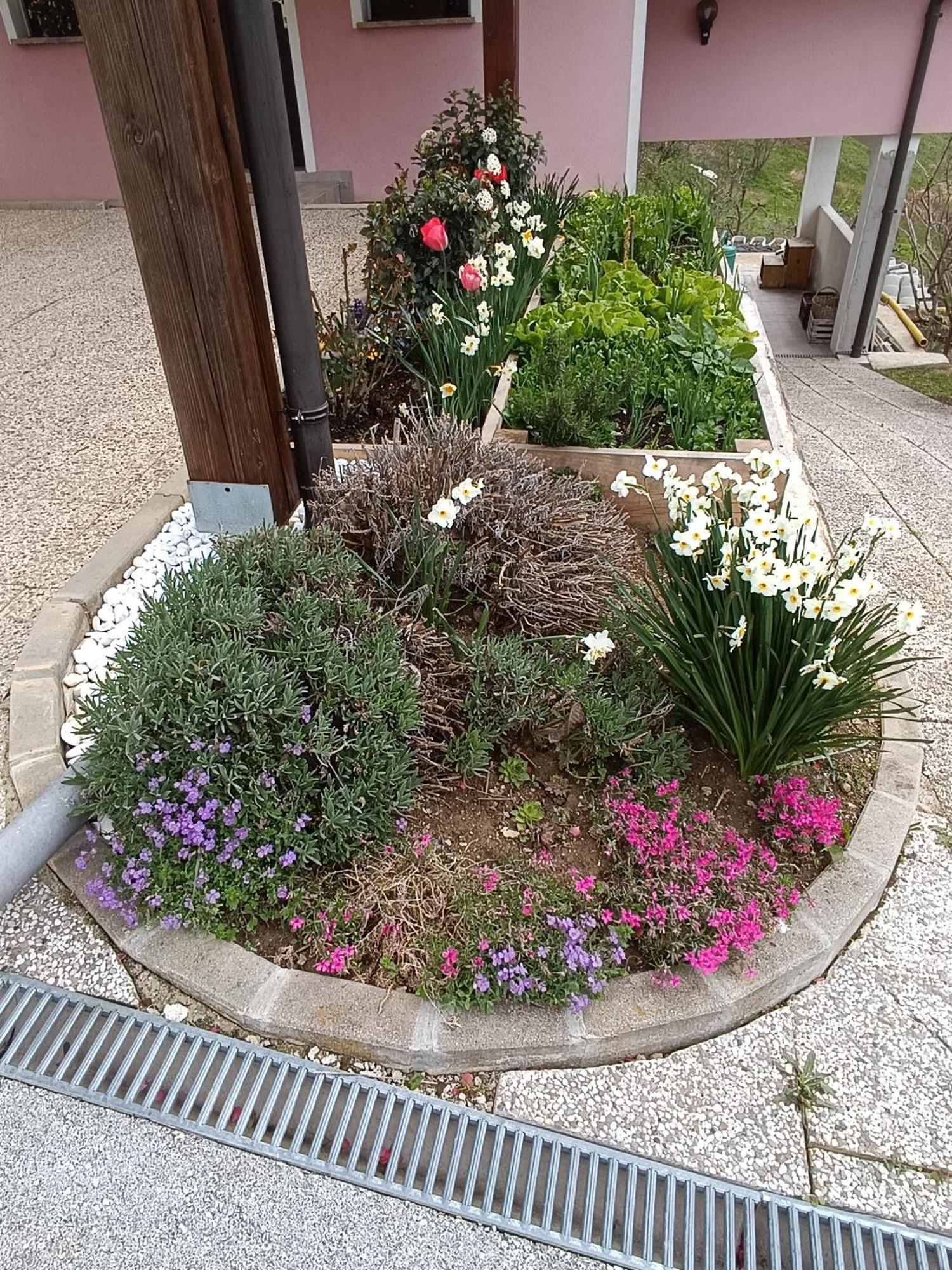 Apartament Hiska Na Gorci Podčetrtek Zewnętrze zdjęcie